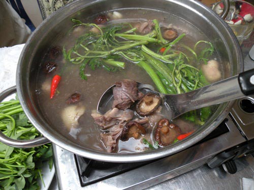 Vịt cỏ mê "mò".. sấu! - 3