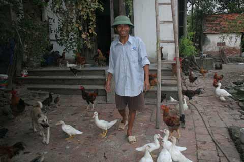 "Gã khùng" sợ đàn bà chỉ ở với gà - 2