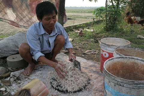 "Gã khùng" sợ đàn bà chỉ ở với gà - 3