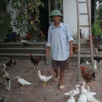 Tin tức trong ngày - "Gã khùng" sợ đàn bà chỉ ở với gà