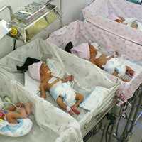 Tin tức trong ngày - Tìm thân nhân 8 trẻ sơ sinh bị bán sang TQ