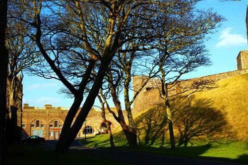 Dover thanh bình - 2