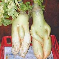 Lỗi lầm trong bóng tối tạo ra trẻ con! - 2