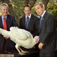 Lỗi lầm trong bóng tối tạo ra trẻ con! - 4