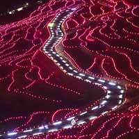 Hàng nghìn đèn led thắp sáng ruộng bậc thang