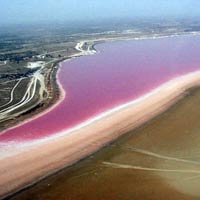 Du lịch - Những hồ nước màu hồng đặc biệt