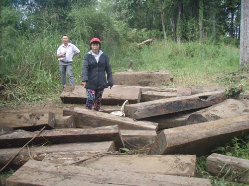 VQG Yok Đôn bắt vụ chặt phá 45 lóng gỗ hương - 1