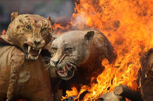 Những hình ảnh ấn tượng nhất tuần (11/11-10/17) - 6