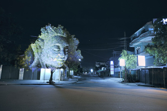 Tượng cây 3D hiển thị khi chiếu những hình ảnh dựng sẵn lên những tán cây rộng.