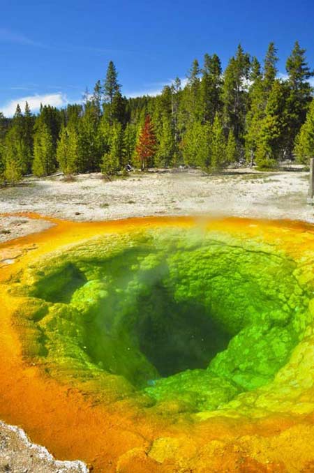 Yellowstone: Công viên quốc gia cổ nhất thế giới - 1
