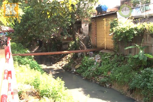 Dân TP HCM nháo nhào diệt chuột - 2