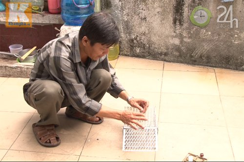 Dân TP HCM nháo nhào diệt chuột - 4