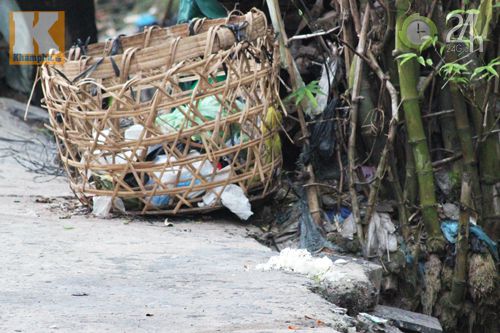 Dân TP HCM nháo nhào diệt chuột - 6