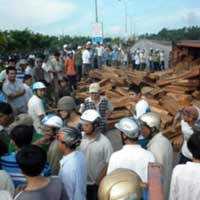 Tin tức trong ngày - Xe lật, gỗ quí tràn ra đường