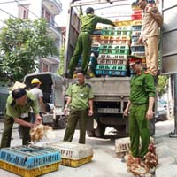 Thị trường - Tiêu dùng - Lại “nóng” chuyện gà lậu