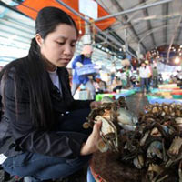 Tin tức trong ngày - Kinh hãi gạch cua chế từ phoócmôn