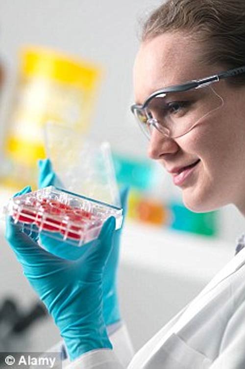 Phát hiện tế bào gốc gây bệnh ung thư - 2