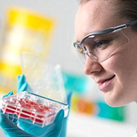 Sức khỏe đời sống - Phát hiện tế bào gốc gây bệnh ung thư