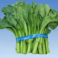 Sức khỏe đời sống - Rau cải, rau ngót dẫn đầu nguy cơ ngộ độc