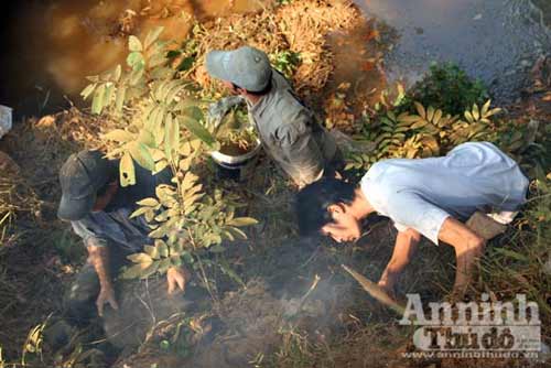 Truy bắt "thằng tý" gieo bệnh cho người - 11