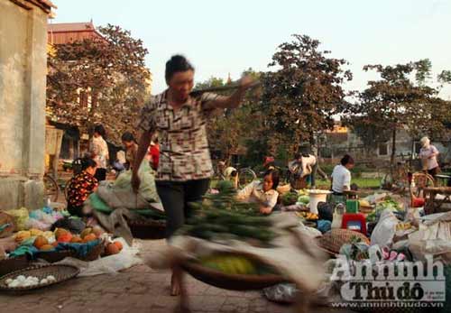 Truy bắt "thằng tý" gieo bệnh cho người - 4