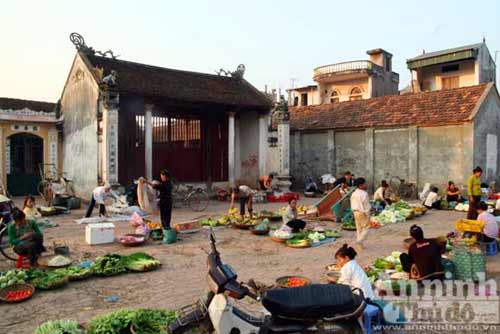 Truy bắt "thằng tý" gieo bệnh cho người - 5