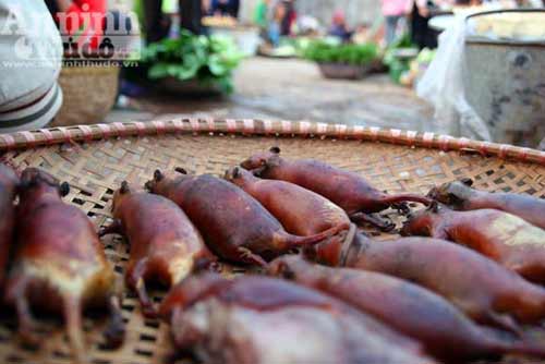 Truy bắt "thằng tý" gieo bệnh cho người - 7