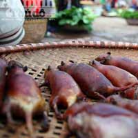 Tin tức trong ngày - Truy bắt "thằng tý" gieo bệnh cho người