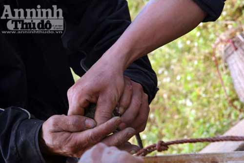 Truy bắt "thằng tý" gieo bệnh cho người - 12