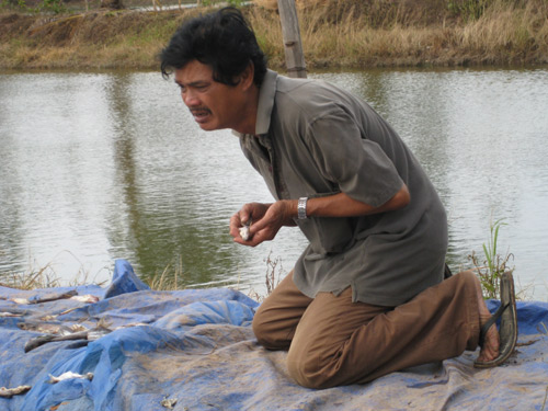 Diễm Châu mát tay trổ tài nuôi cá - 9