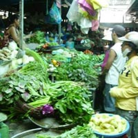 Thị trường - Tiêu dùng - Rau miền Bắc tồn dư hóa chất cao nhất nước