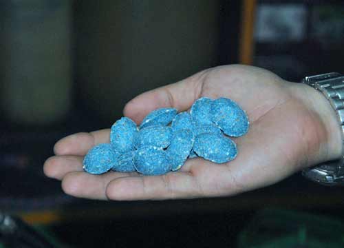 Nạn chuột ở TPHCM: Nhìn lại quá khứ! - 2