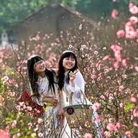 Tin tức trong ngày - Tết Âm lịch được nghỉ 9 ngày