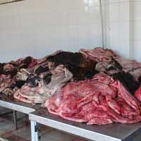 Tin tức trong ngày - Cuối năm, thịt thối ồ ạt tuồn về TP.HCM