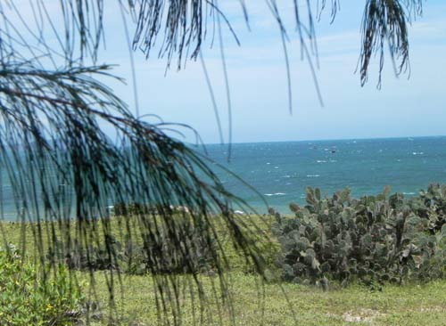 Cắm trại ở thảo nguyên Hòn Rơm - 3