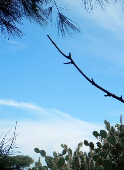 Cắm trại ở thảo nguyên Hòn Rơm - 4