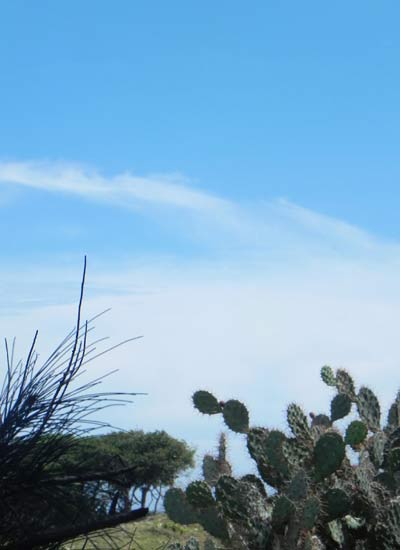 Cắm trại ở thảo nguyên Hòn Rơm - 5