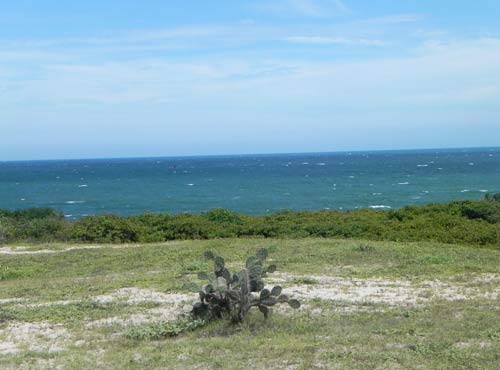 Cắm trại ở thảo nguyên Hòn Rơm - 6