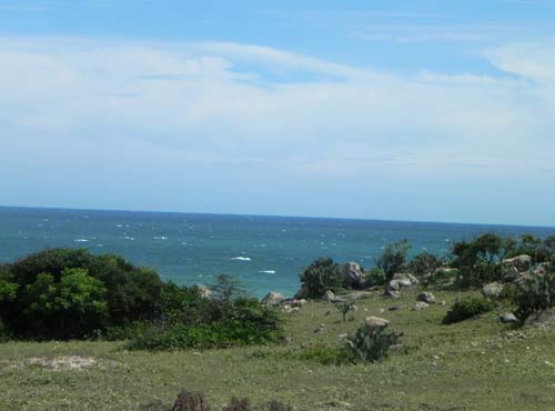 Cắm trại ở thảo nguyên Hòn Rơm - 7