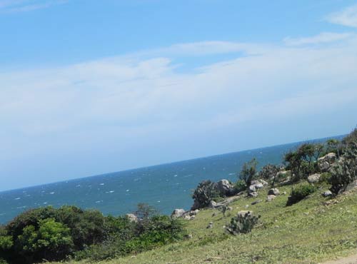 Cắm trại ở thảo nguyên Hòn Rơm - 11