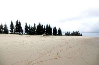 Khám phá bãi biển dài nhất Việt Nam - 4