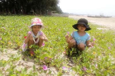 Khám phá bãi biển dài nhất Việt Nam - 6