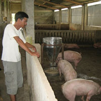 Thị trường - Tiêu dùng - Lơ là với dịch, dân thiệt hại lớn