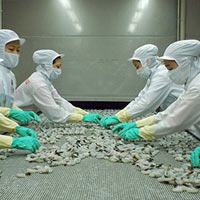 Thị trường - Tiêu dùng - Xuất khẩu nông, lâm, thủy sản đạt 25 tỷ USD