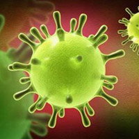 Sức khỏe đời sống - Thêm 4 ca mắc bệnh giống SARS
