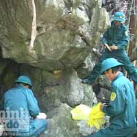 Tin tức trong ngày - Nổ mìn chặn đường vận chuyển gỗ của "lâm tặc"