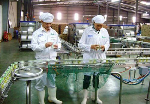 Sữa tươi tuyệt hảo nhập nhèm nguồn gốc - 2