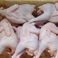 Thị trường - Tiêu dùng - Siêu thị vẫn từ chối bán gà Hàn Quốc