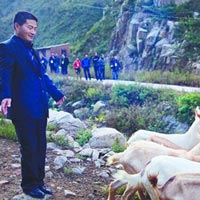 Tin tức trong ngày - Người vạch trần vụ sữa nhiễm melamine bị giết