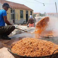 Thị trường - Tiêu dùng - Kinh hãi công nghệ nhuộm màu cho tôm khô